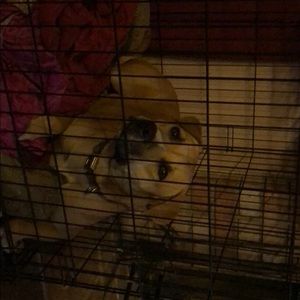 Meet your Posher, Wendy